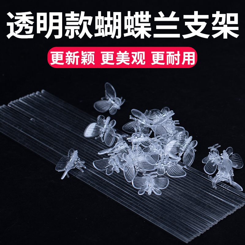 透明新款蝴蝶兰支架更美观