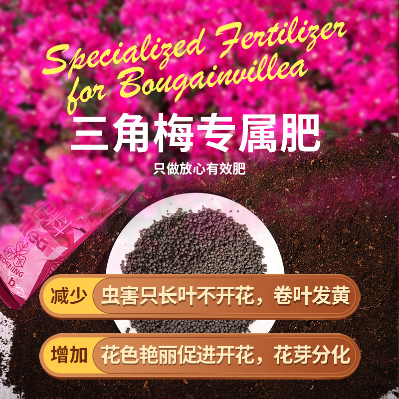 醉花三角梅盆栽专用颗粒肥料专供盆栽三角梅促开花爆花增色缓释肥