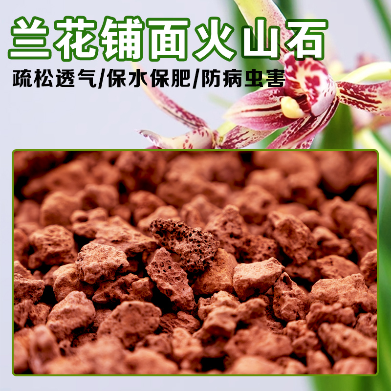 优质水洗红火山石兰花专用拌土铺面火山岩颗粒高温灭菌多肉专用土