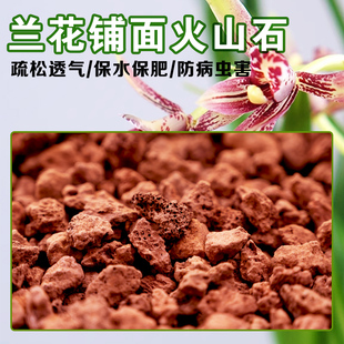 优质水洗红火山石兰花专用拌土铺面火山岩颗粒高温灭菌多肉专用土