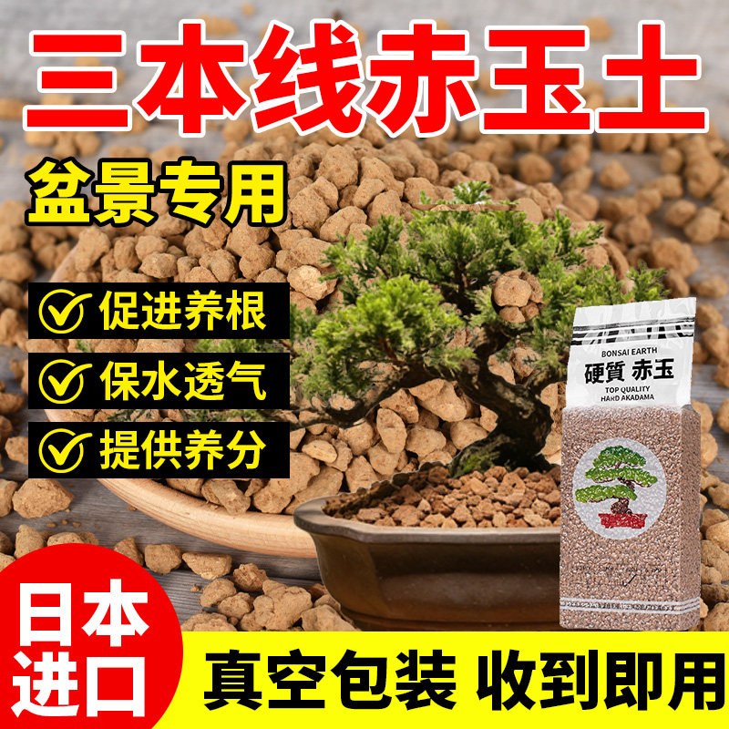 盆景专用赤玉土龙泉日本原装进口造景内门竹多肉扦插颗粒营养土