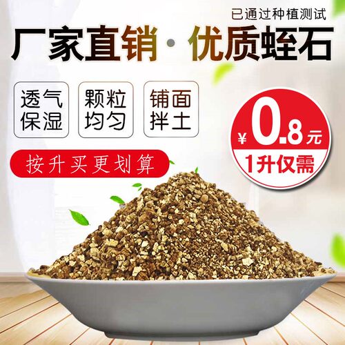 蛭石扦插发根颗粒多肉专用土