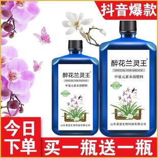 兰灵王兰花专用肥营养液肥料蝴蝶兰君子陵王烂根科活化剂群杀菌药