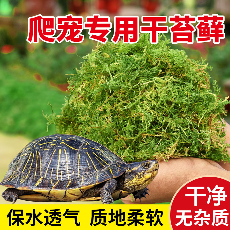 乌龟冬眠干苔藓专用爬宠垫材营养土智利水苔青苔寄居蟹椰砖椰土