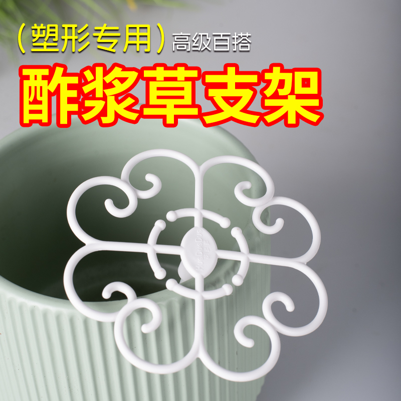 酢浆草专用支架防倒伏专用支架