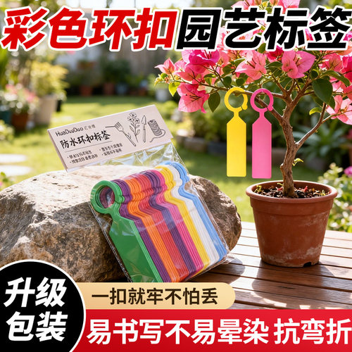 园艺标签吊牌防水植物挂牌塑料植物花卉水果标识卡环扣卡记号牌