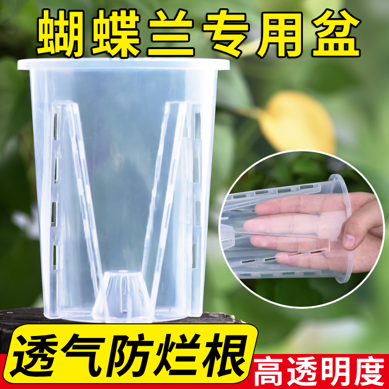 水苔蝴蝶兰专用花盆加厚透明青山控根盆兰花透气大号家用塑料镂空