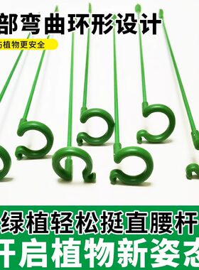 植物固定防倒伏花架爬藤架