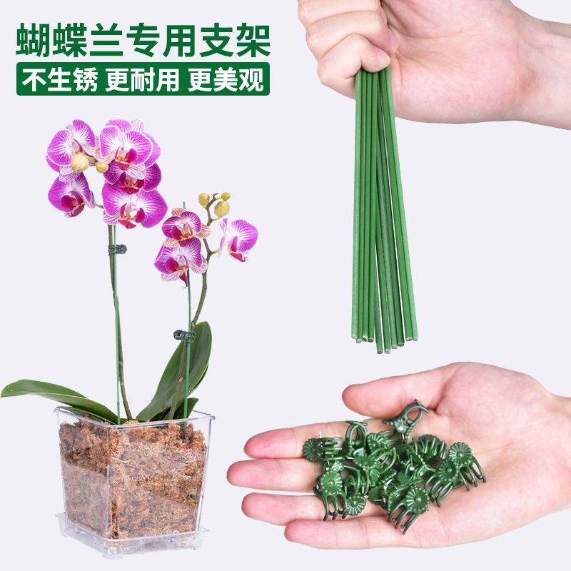 蝴蝶兰支架夹子专用固定爬