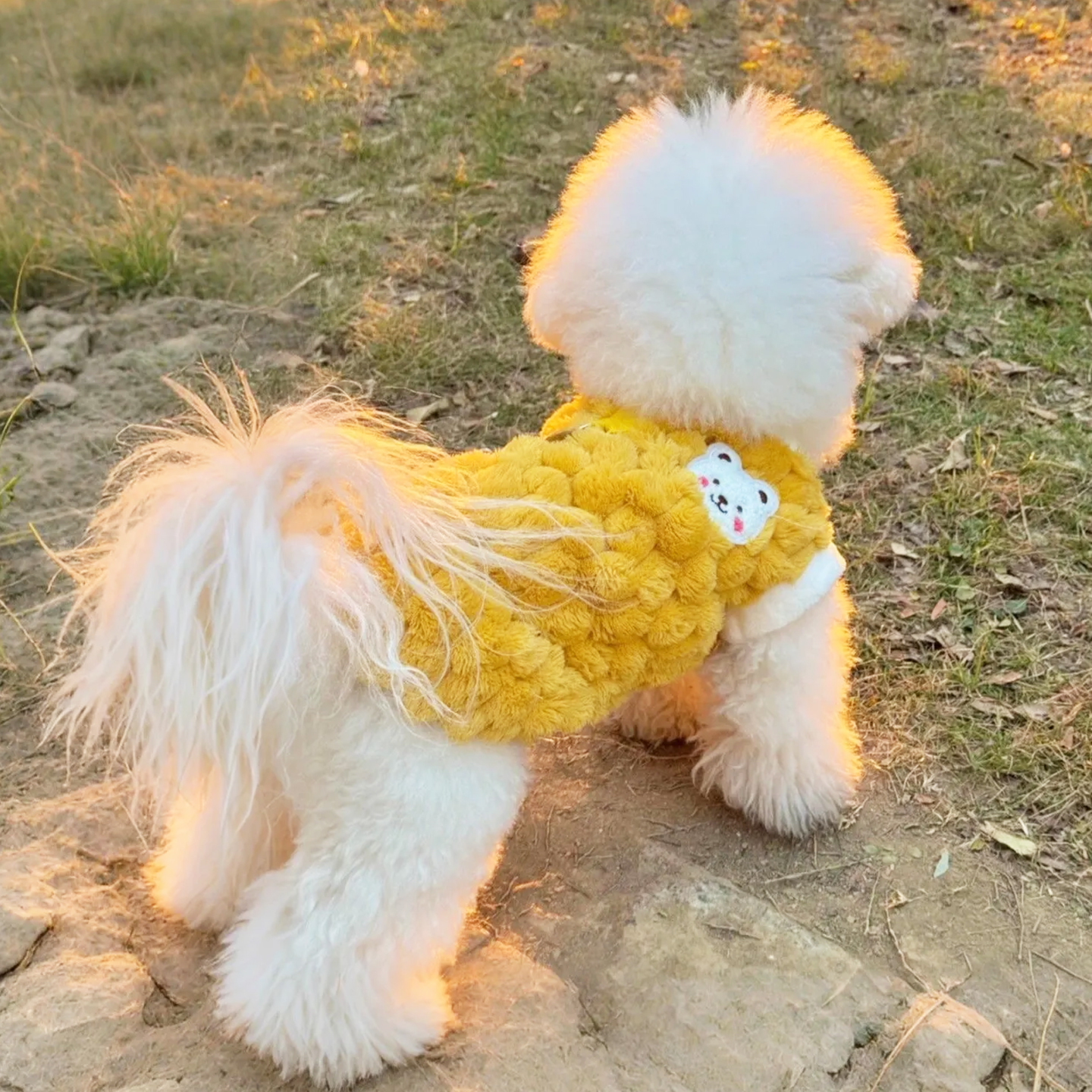 狗狗衣服卫衣秋冬防掉毛可牵引