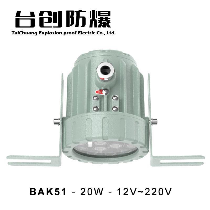 AK51-20W/30W化学反应釜容器防爆视镜灯罐观查视孔射灯24V/220V新