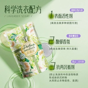 香氛去渍洗衣液持久留香去异味洗衣护理液家用装 表面活性剂洗衣液