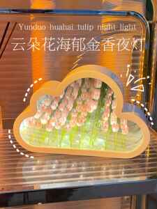云朵郁金香花海玫瑰小夜灯礼物手工diy女生生日镜子送女友教师节
