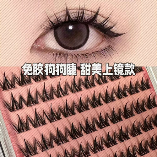 簇大容量免胶小奶狗假睫毛