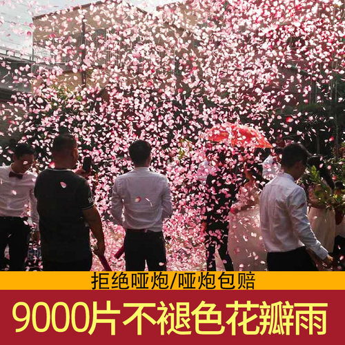 浪漫花瓣雨礼花9000片礼炮