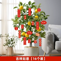 Jixiang Ruyi [16 штук] поставляется в комплекте с бесплатным ремешком при размещении заказа.