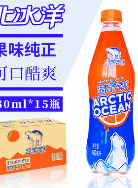 北冰洋桔汁480ml*15瓶整箱老北京汽水碳酸饮料北冰洋桔子味汽水