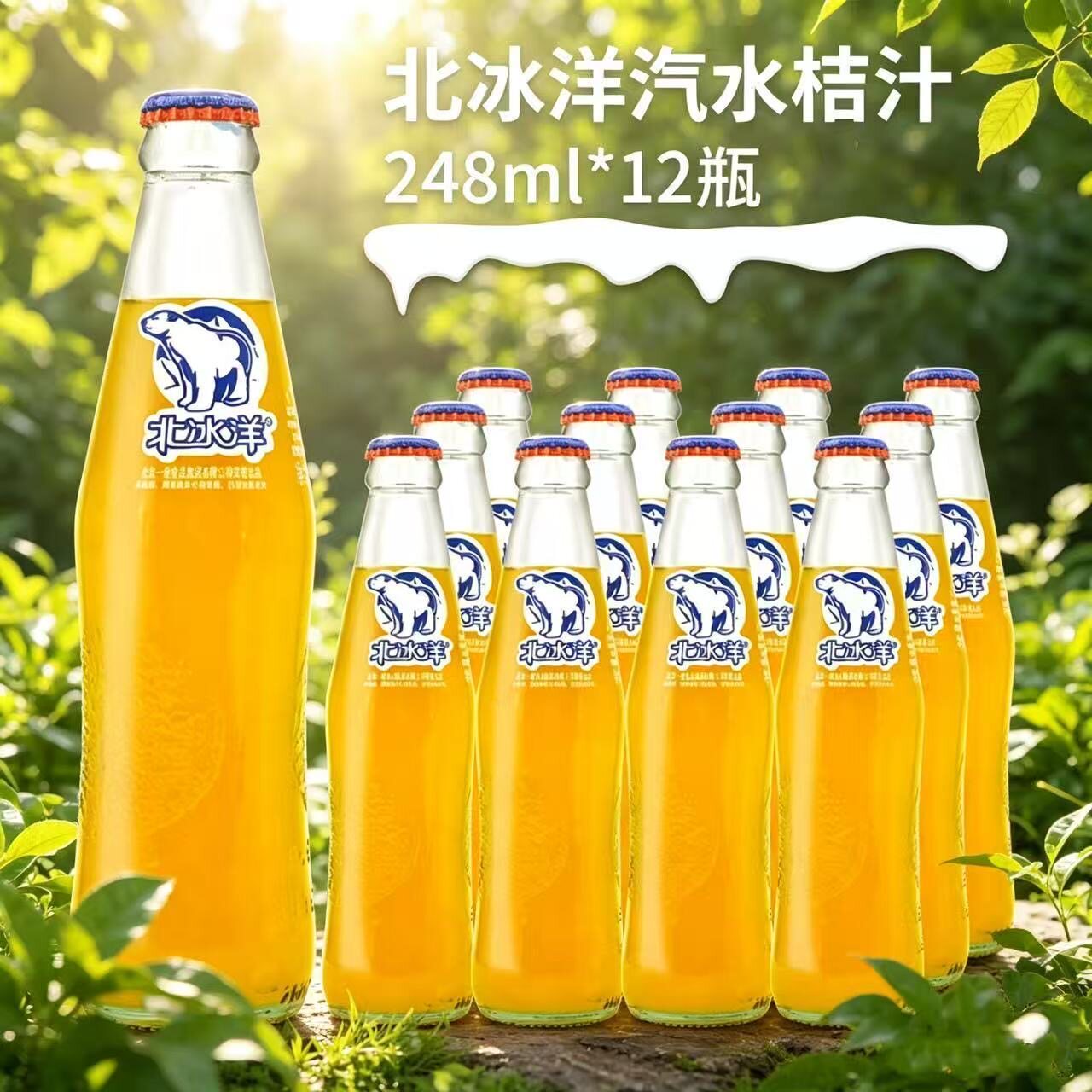 北冰洋玻璃瓶桔汁汽水248ml*12瓶