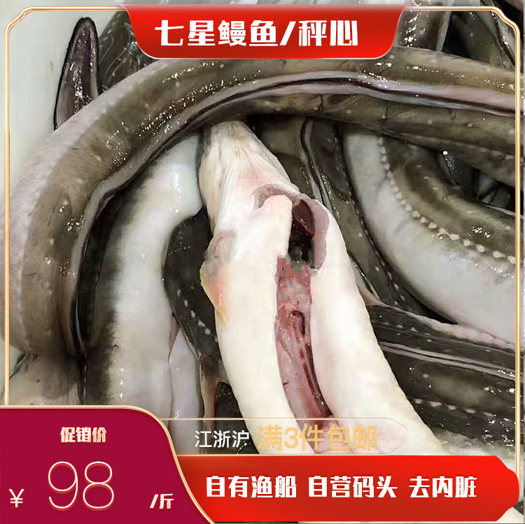 4-6两/条东海七星鳗鱼水产沙鳗油鳗海鳗鱼风干鳗鱼海捕海鲜
