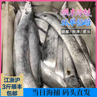 中规格本港小眼睛油带鱼新鲜整条特级刀鱼雷达网舟山吕四海鲜