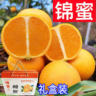 浓甜锦蜜冰糖橙麻阳超甜现摘新鲜水果湖南褚甜橙柑橘子橙子礼盒装