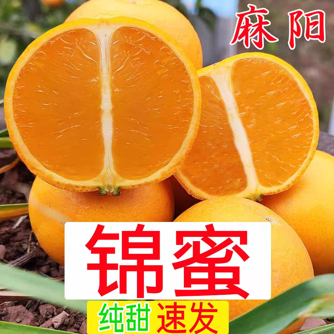 纯甜不酸湖南麻阳锦蜜冰糖橙9斤