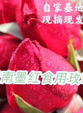 云南现摘新鲜可食用玫瑰花墨红玫瑰花苞骨朵基地直达墨红食用玫瑰