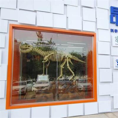 大型仿真玻璃钢化石骨头恐龙骨架树脂雕塑骨骼模型博物馆展品厂家