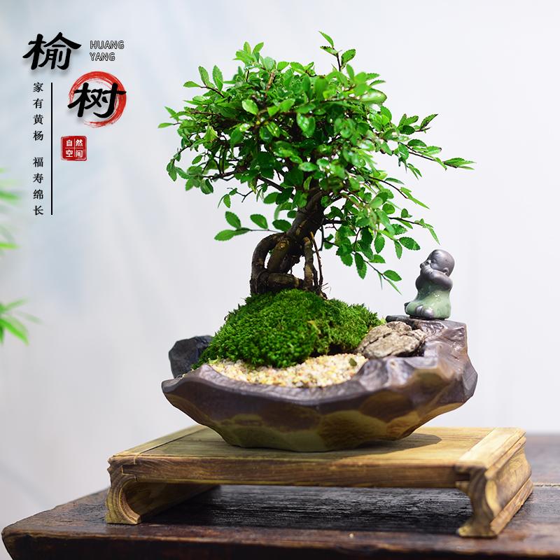 榆树室内办公室书房茶几桌面