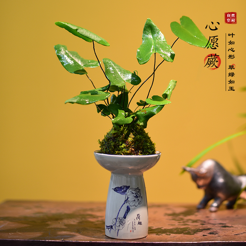 心愿蕨书房客厅办公室茶几桌面