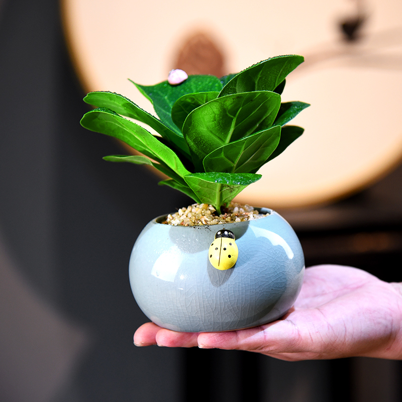 琴叶榕书房客厅办公室茶几桌面