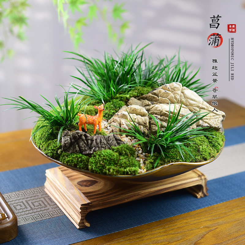 菖蒲盆栽微景观石头艺术组合中式植物盆景办公客厅茶室植物摆件