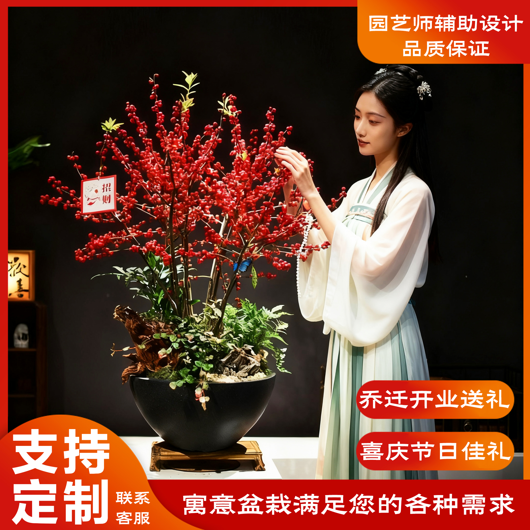 冬青空气凤梨富贵竹桌面造型盆景盆栽乔迁开业送礼物【支持定制】