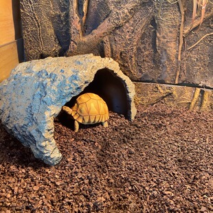 龟晒台躲避屋窝洞大龟爬台鱼缸造景龟缸晒背台爬宠爬虫箱超大造景