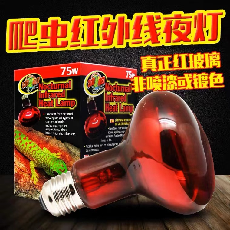ZOOMED夜灯陆龟蜥蜴变色龙