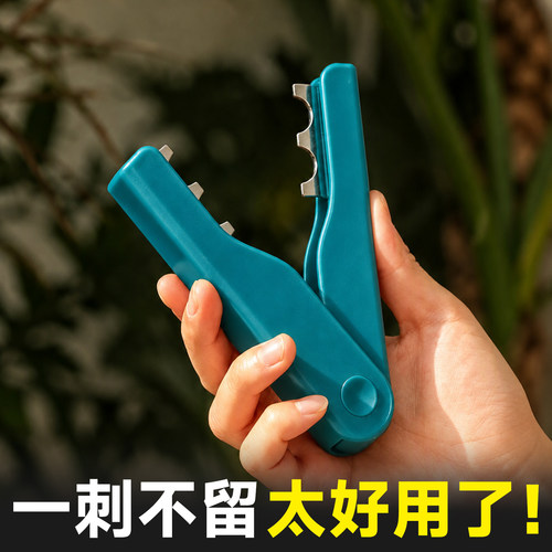 鲜花打刺钳不伤杆打刺效果翻3倍