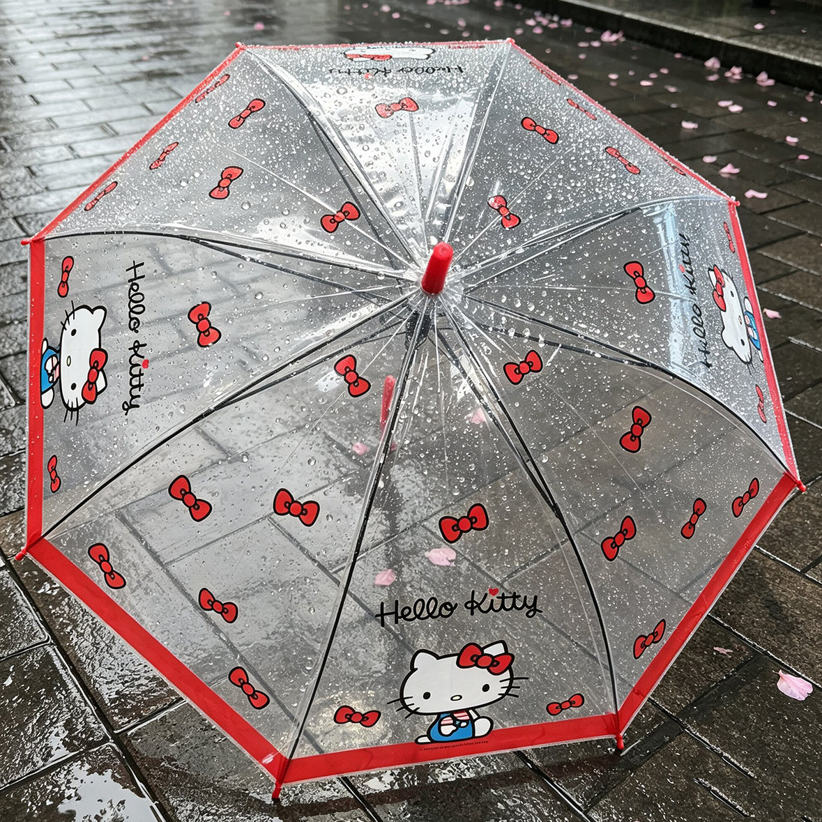 凯蒂猫透明直柄儿童雨伞女孩款图片