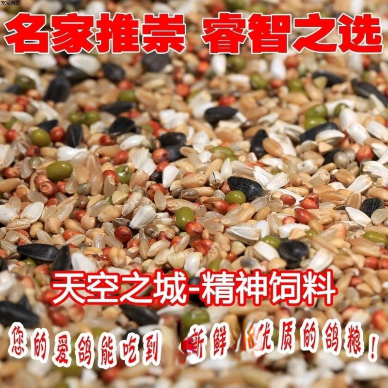 年冠天空之城-精神饲料发货10斤鸽粮鸽子饲料鸽子粮食