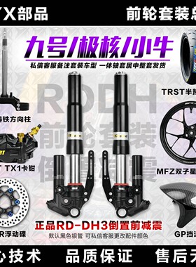 【正品】RD倒置DH3前减震前轮套装前面一套九号ENM小牛NXT极核AE4