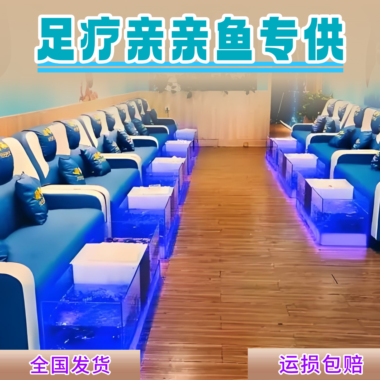 【中通包邮】精选足疗小鱼亲亲鱼苗温泉咬脚鱼足疗店鱼疗小鱼