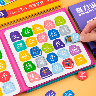儿童识字磁力拼图3到6岁