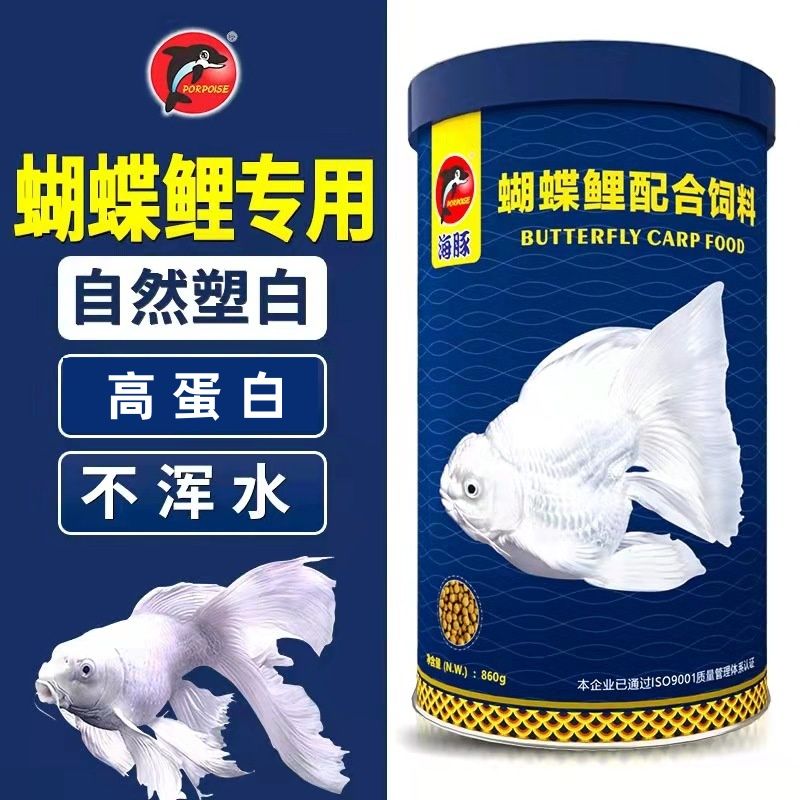 海豚蝴蝶鲤专用饲料高蛋白增白