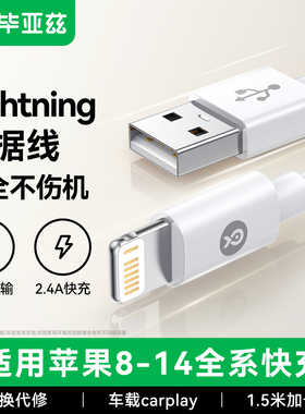 毕亚兹适用苹果17数据线iPhone16手机13充电线器12Promax快充PD加长XR2米8plus冲电ipad平板XS闪充短11车载