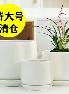 白色花盆陶瓷特大号带托盘蝴蝶兰专用仙人球绿萝包邮特价清仓简约