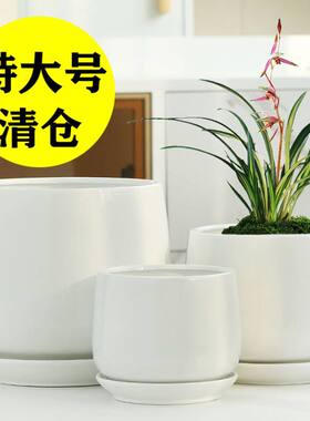 白色花盆陶瓷特大号带托盘蝴蝶兰专用仙人球绿萝包邮特价清仓简约