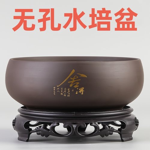 睡碗莲专用盆缸铜钱草一叶莲水仙花盆金钱草水培植物无孔陶瓷紫砂