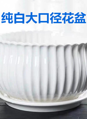 花盆陶瓷特价特大号清仓带托盘白色简约家用吊兰绿萝植物兰花盆栽