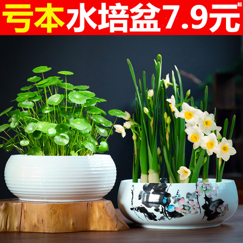 水仙花铜钱草无孔大口径水培花盆