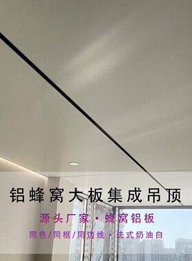 厨房卫生间天花板蜂窝大板