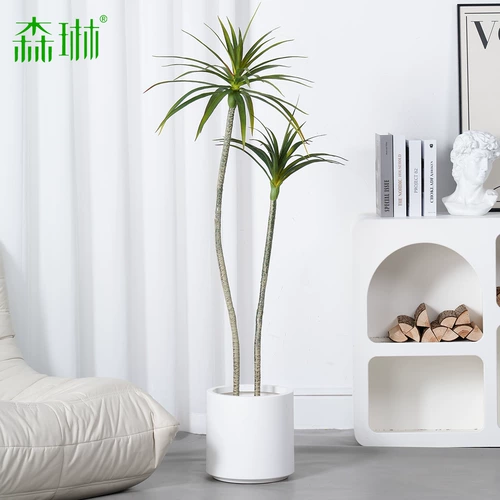 Легкая роскошная гостиная моделирование зеленого растения Дракона Кровавого дерева Связанные фальшивые деревья сажают горшечные декоративные украшения бонсай